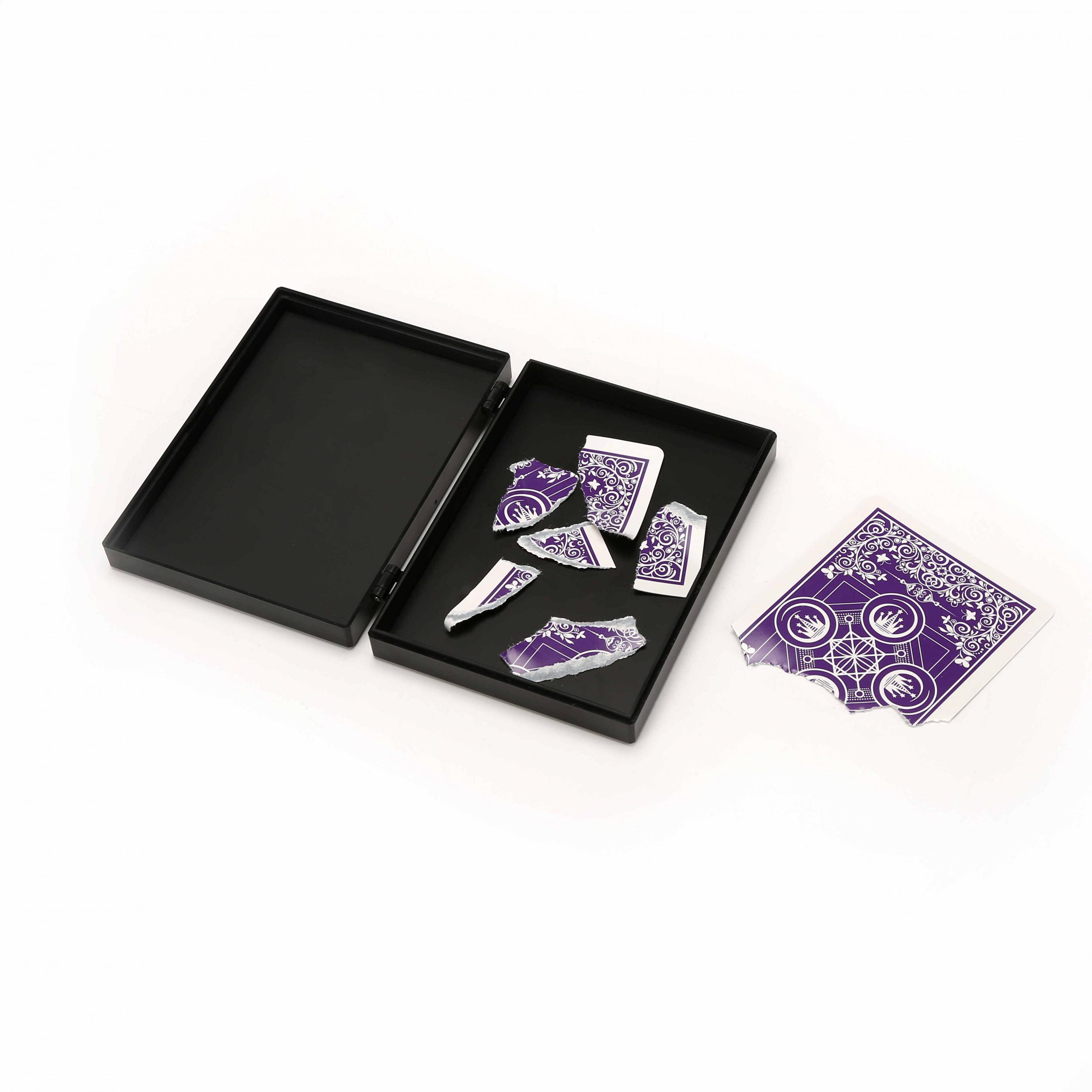 Birthday Gift Magic Toy Set with Restoration Tricks